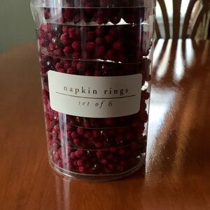 Pier 1 Napkin Rings Set (6)